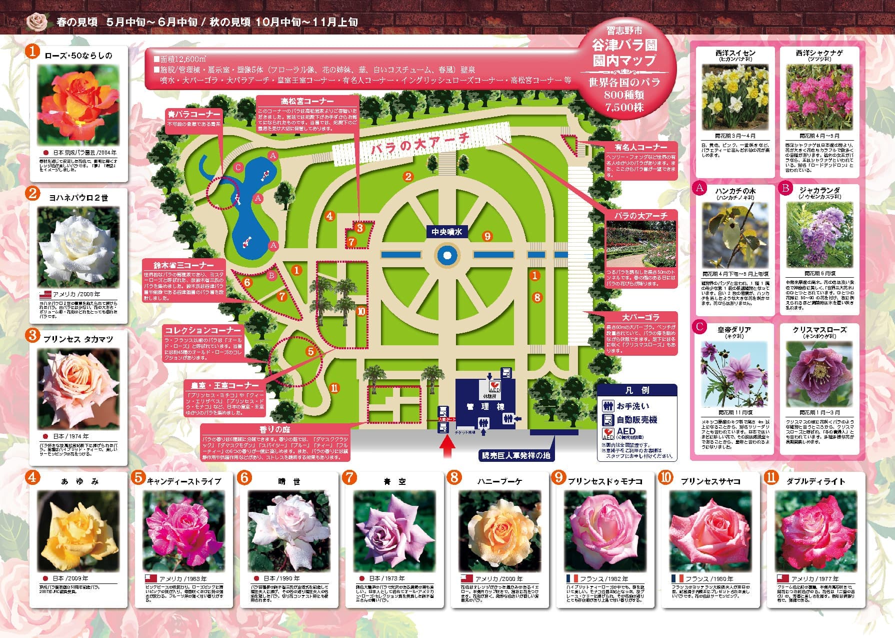 活動歴および当時の関連ビジュアル記録